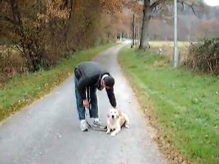 Centre Canin Cyno 23, " la marche au pieds