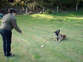 Centre Canin Cyno 23, " le refus d'appat "