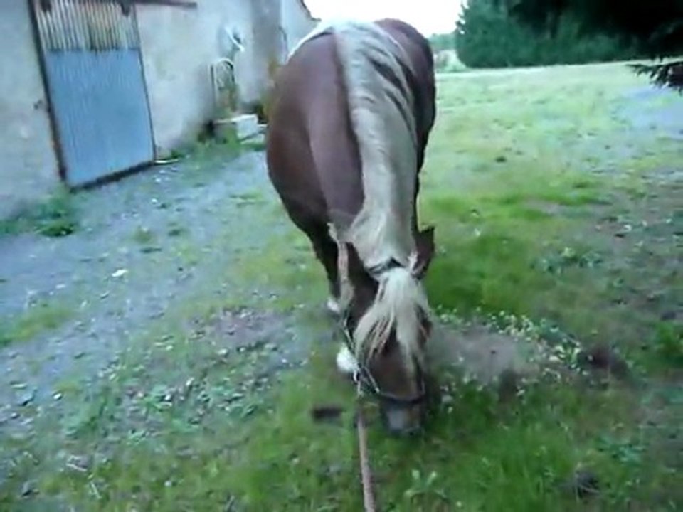 Balade avec Tigane 2_4sept11