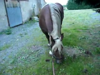 Balade avec Tigane 2_4sept11