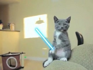 Chatons Jedi avec Sabres Laser (HQ+)