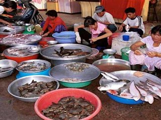 DCVN Qua Cầu Gió Bay - Con Dâng Về Chúa - Lời Thánh: Vũ Thái Hòa