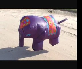 Elephant volant. Air Elephant