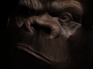 BigFoot - ZBrush 4  - Timelapse Modeling and Polypainting - Dethan