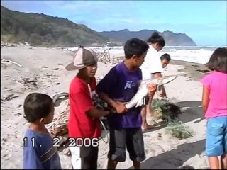 PECHE MIRACULEUSE A  TOKOMARU BAY_