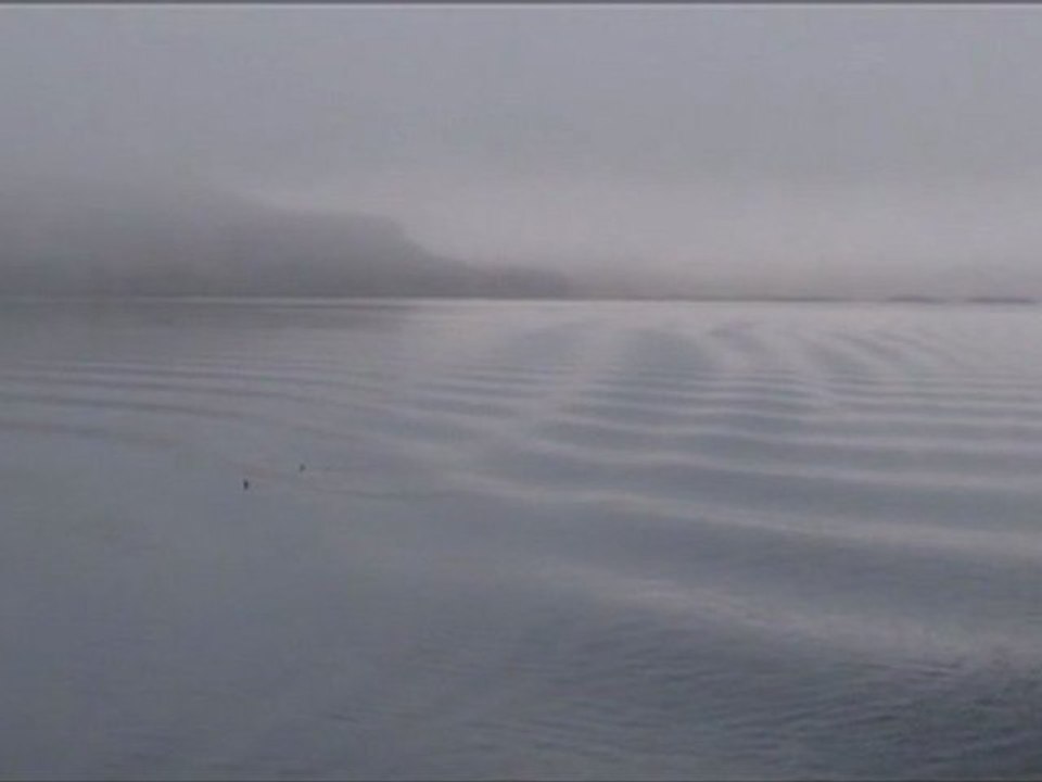 Présentation de la Réserve naturelle nationale des Terres australes françaises