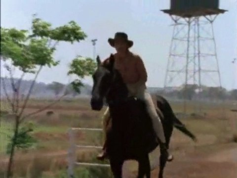 La vengeance aux deux visages le film (5)