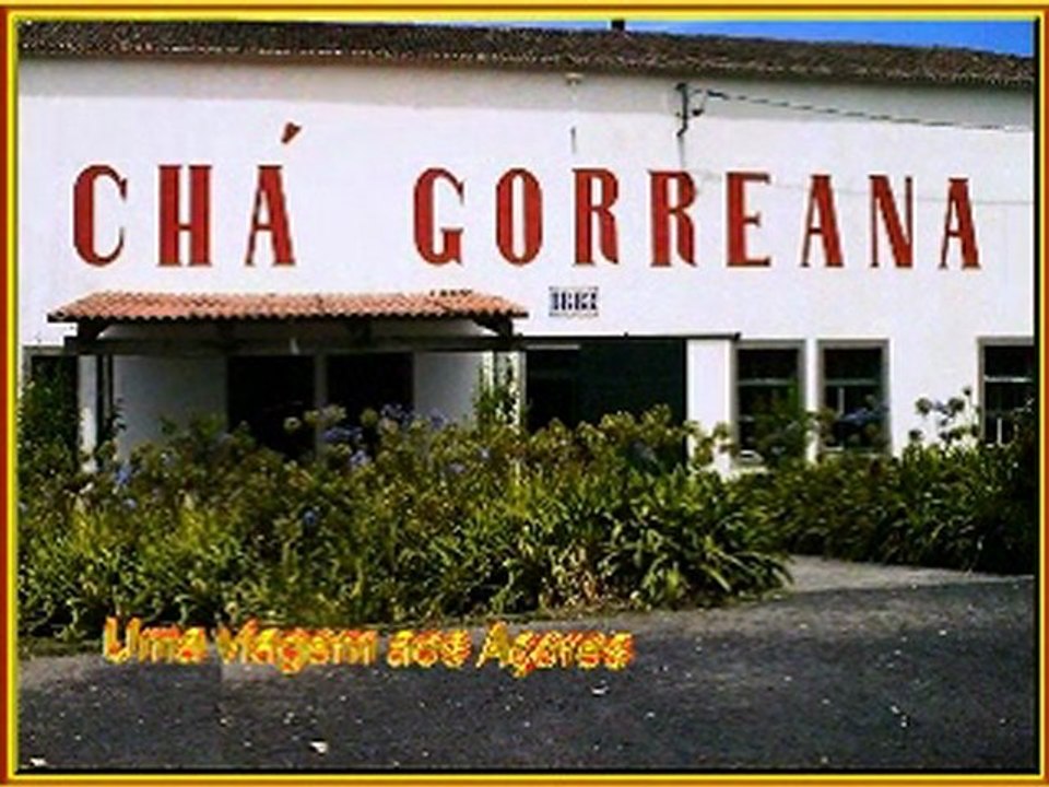 Uma viagem aos Açores - Portugal