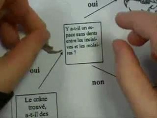 sciences cycle 3 chaînes et réseaux alimentaires ev-ra-s4-e3-1