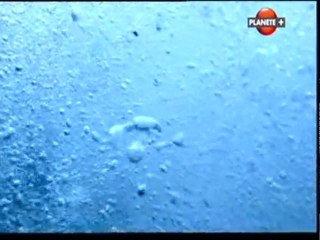 Mondes invisibles (L'ultra rapide) 2/2