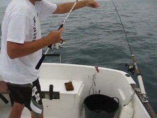 Hart Marshall en action