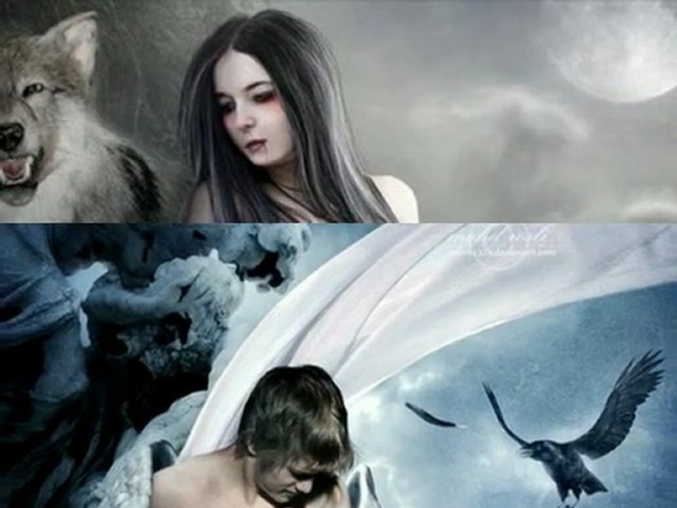 TU NOMBRE Sofia Ortega Cruz