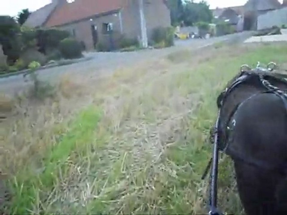 5 septembre blady a l'attelage