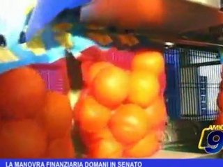 La manovra finanziaria, domani in Senato