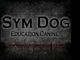 EDUCATION CANINE MARSEILLE SYM DOG WWW.EDUCATIONCANINE13.FR