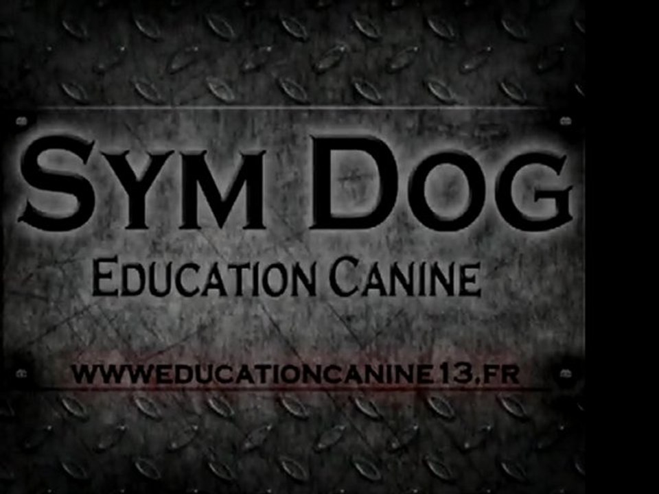 EDUCATION CANINE MARSEILLE SYM DOG WWW.EDUCATIONCANINE13.FR