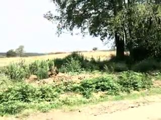 HAZER EMLAK TEL : 0546 851 6657 SAKARYA SATILIK TARLA