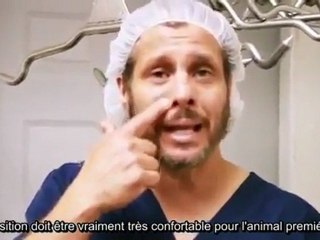 La Miséricorde de l'abattage rituel islamique épisode 3/3