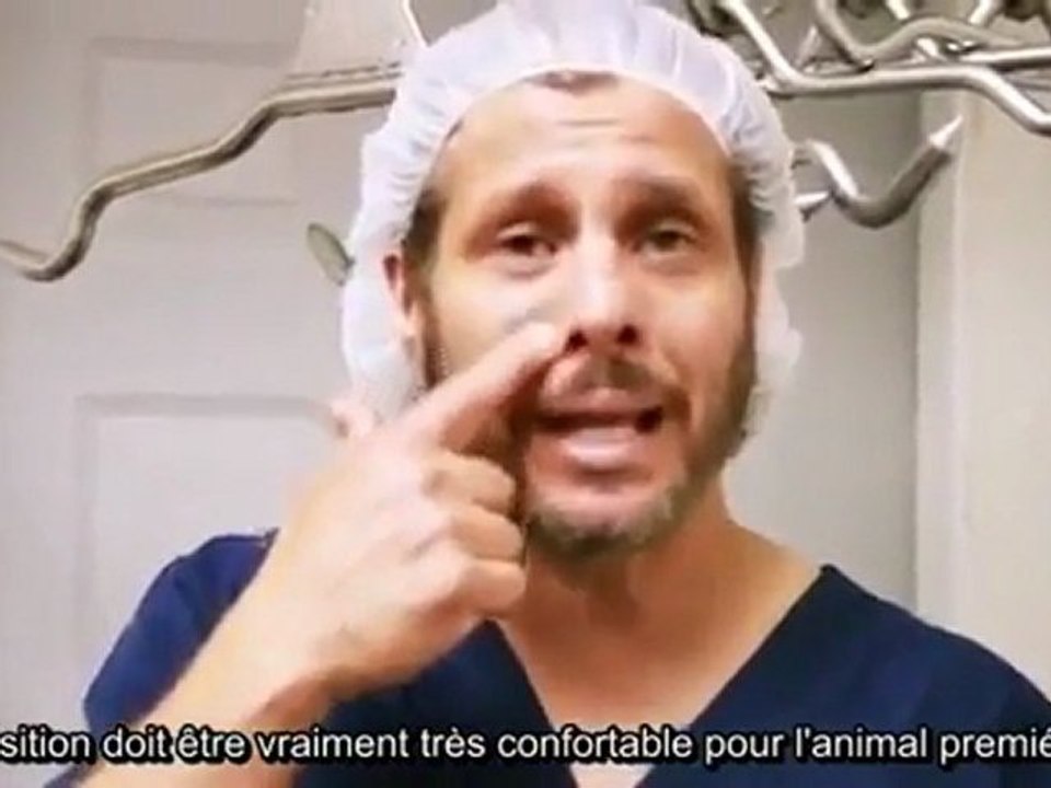 La Miséricorde de l'abattage rituel islamique épisode 3/3