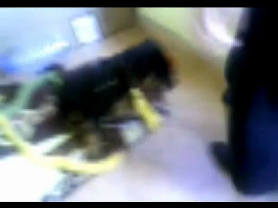 Çok özledik be oğlum seni...! :'(