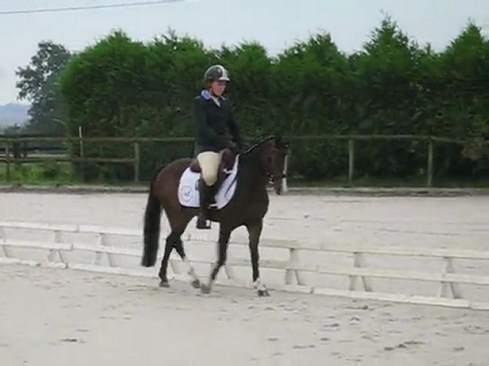 Reprise Finale 4 ans Poney- Beaumont Pied de Boeuf 04/09/11