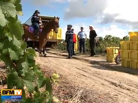 Vendanges : la Garde républicaine en Champagne