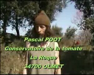 Le Conservatoire de la Tomate