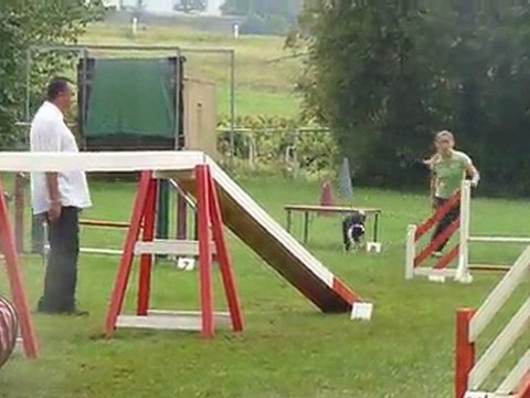 Engie premier concours d'agility (GPF)