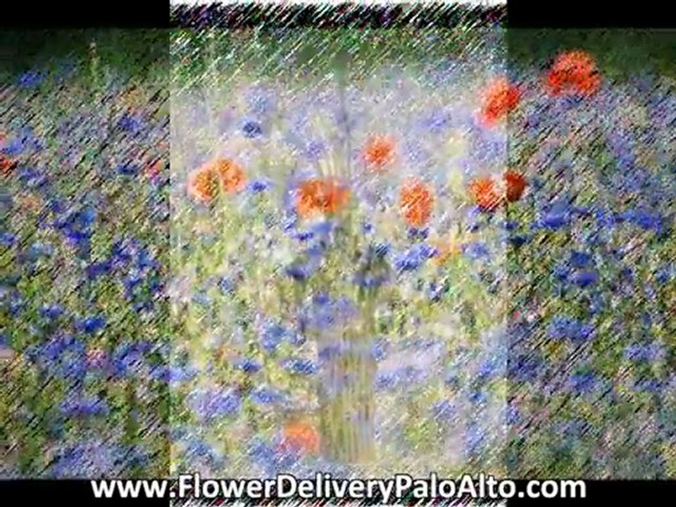 San Jose Flower Shops You Will Surely Love