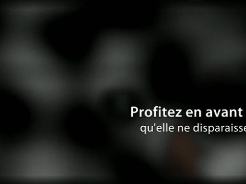 cellulite palper rouler