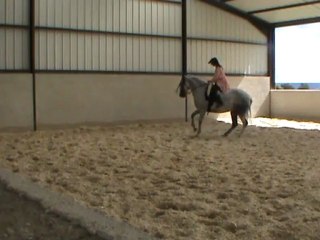 début pirouette galop