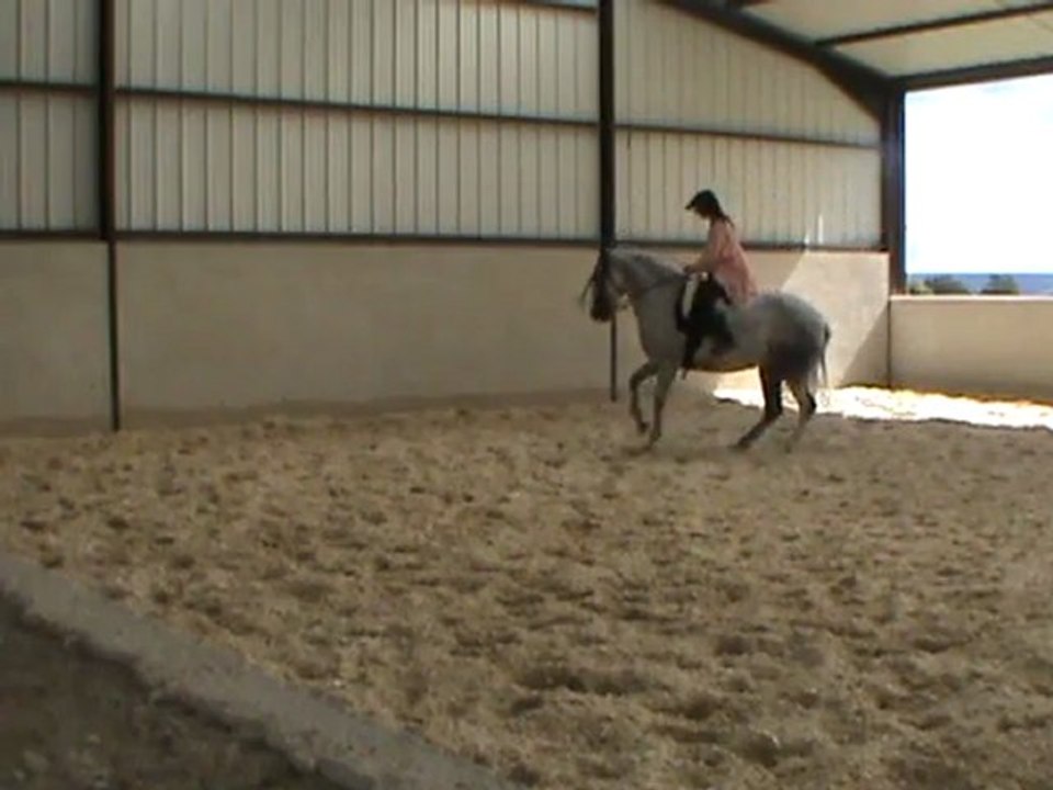début pirouette galop