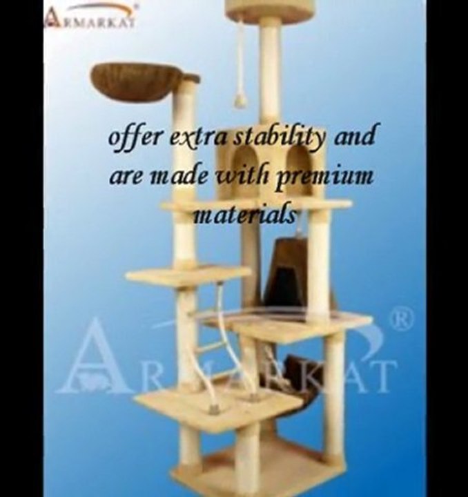purrfectcatcondos