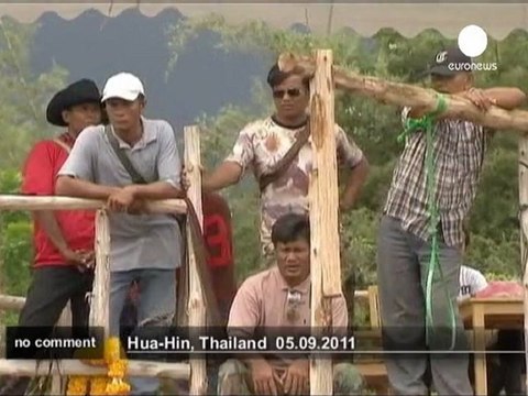 Le polo sur éléphant, un sport national... - no comment