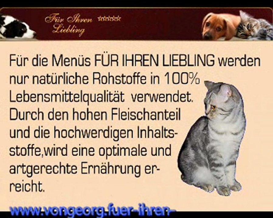 Wenn Sie für Ihren Hund...