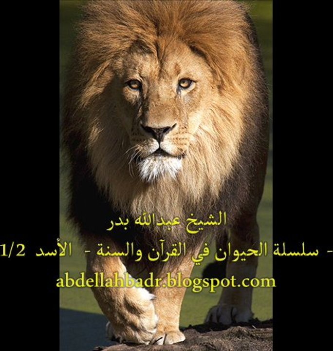 dr abdellah bader assaD 1/2