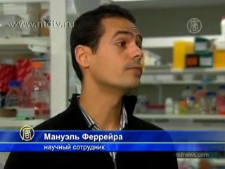 Для лечения астмы найдено старое средство