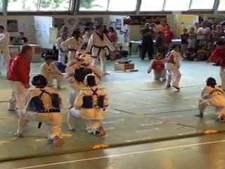 Démonstration de Taekwondo 2011 par la Palgwe Team