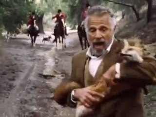 The Most Interesting Man In the World