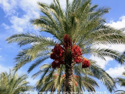 Rixos Sungate Hotel, Beldibi, Antalya, Türkiye gezgince.org photosofturkey.tk