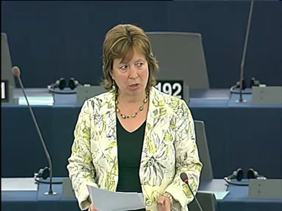 Diana Wallis on mediation in the Member States