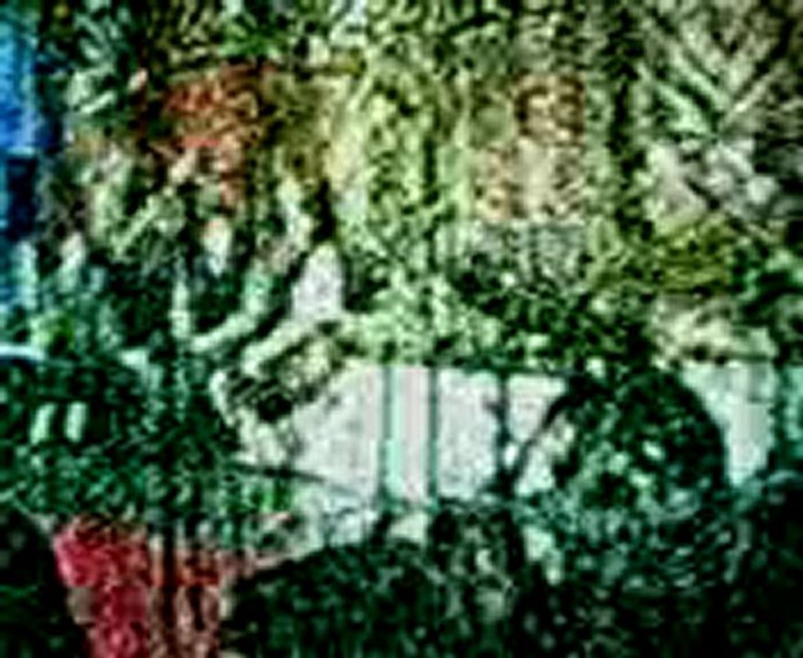 Inspirasi dalam Syair Si Burung Merak WS Rendra