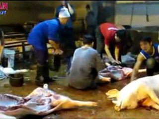 Cận cảnh lò mổ gia súc lúc nửa đêm