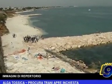 Trani | Alga tossica, procura apre inchiesta