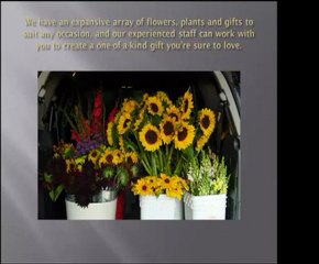 Introduction to Florist Shops