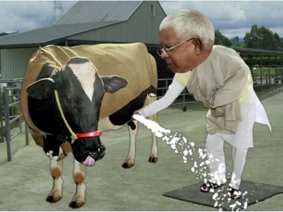 Comedy Show Jay Hind! Size Zero Cows