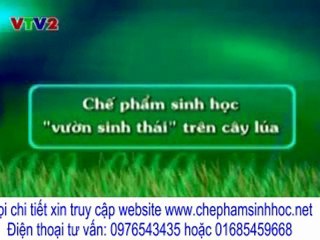 chế phẩm sinh học được sản xuất theo công nghệ nano