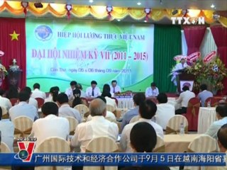 BẢN TIN TIẾNG TRUNG 06.9.2011, TTXVN, VNEWS, VNA, TRUYỀN HÌNH THÔNG TẤN, TTXVN