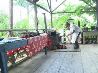 ويب مصير مزارع سان تومي المدمرة