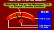 TPS-or-Throttle-Position-Sensor-Parameter